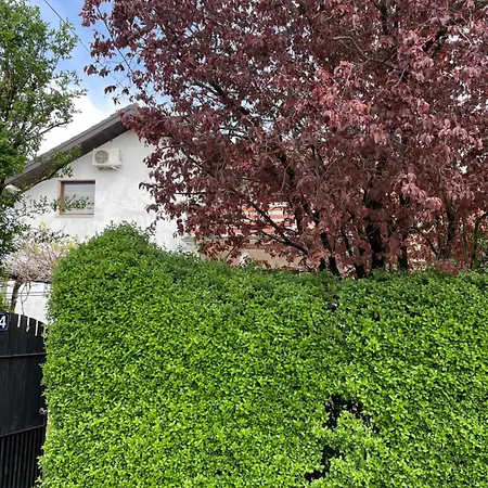 公寓 5min Airport Surčin