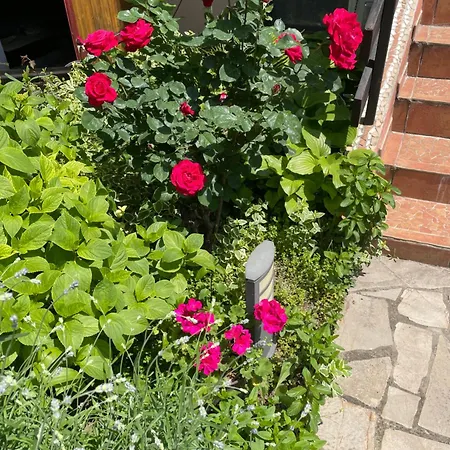 5min Airport * Surcin