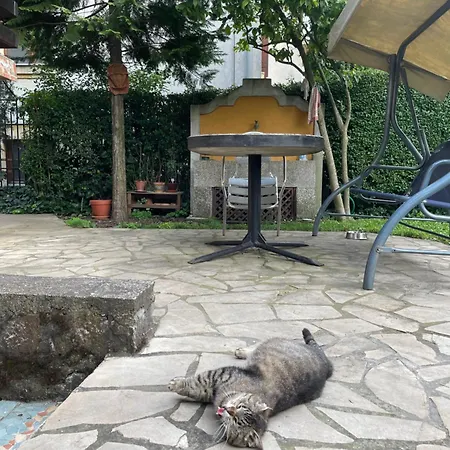 公寓 5min Airport *