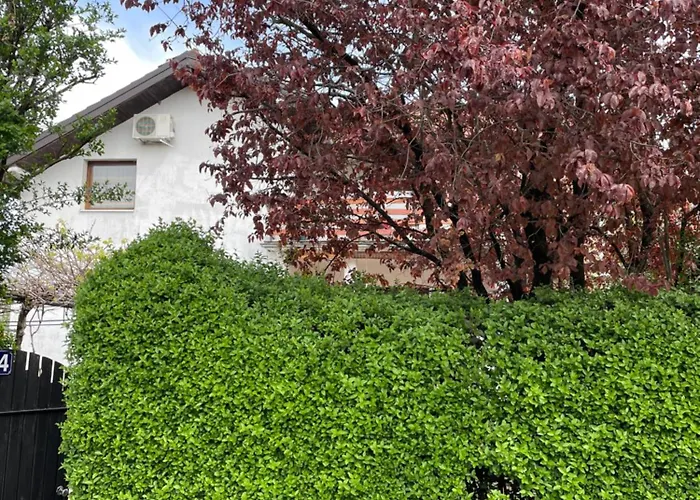 Апартаменты 5min Airport Surcin