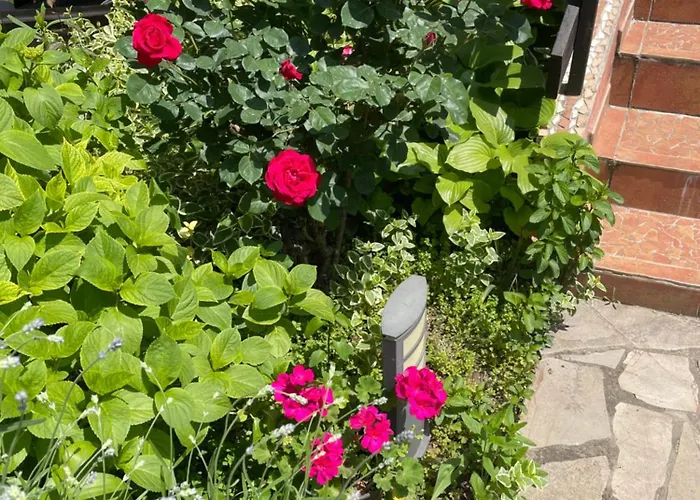 5min Airport * Surčin